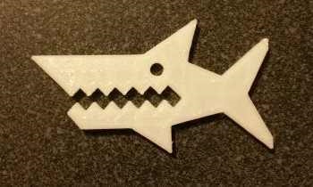 Shark after calibration